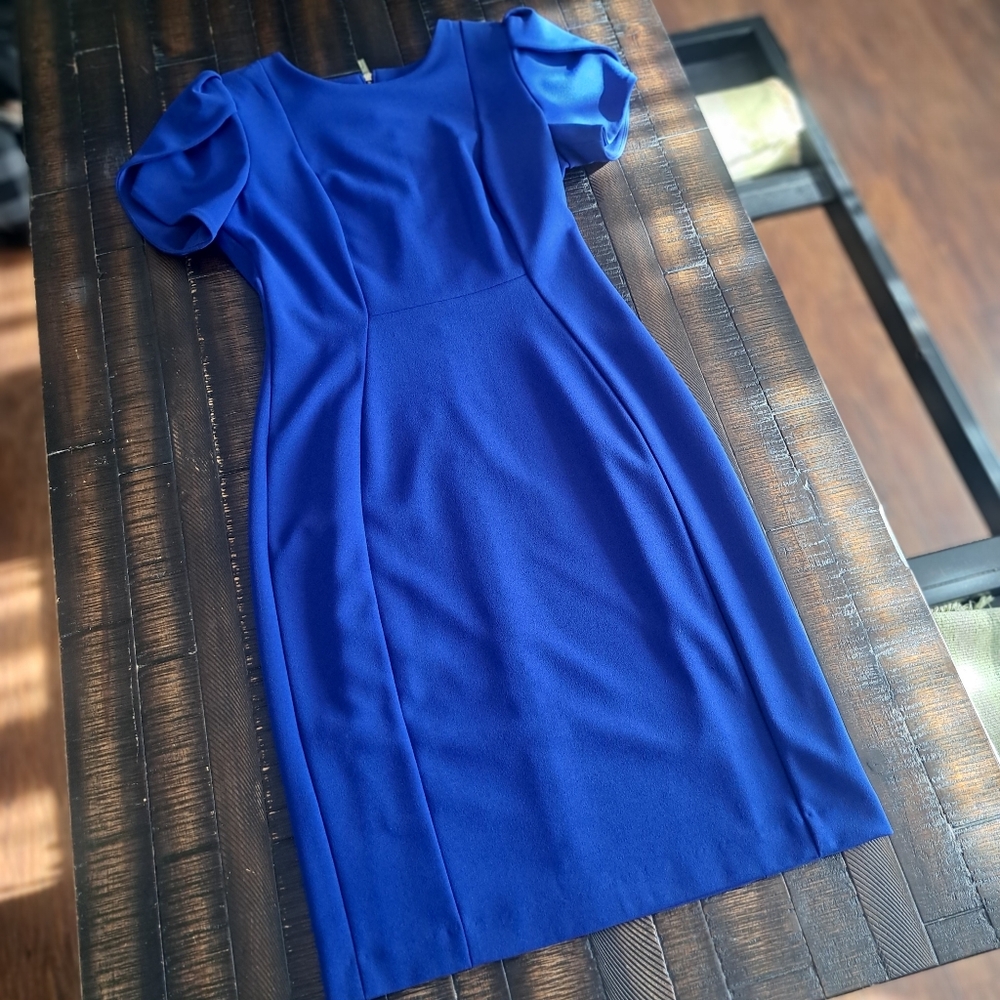 Calvin Klein Elegant Blue Puff Sleeve Dress, 4P